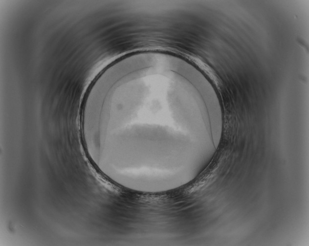 X0000095120951200801041220