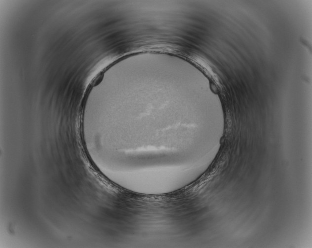 X0000095120952200801041220