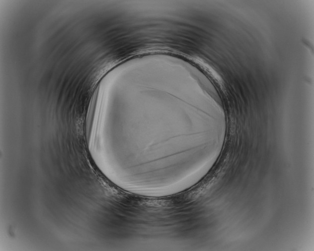 X0000095120953200801041220