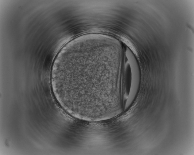 X0000095120954200801041220