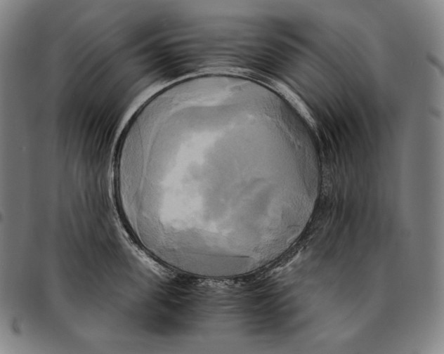 X0000095120955200801041220