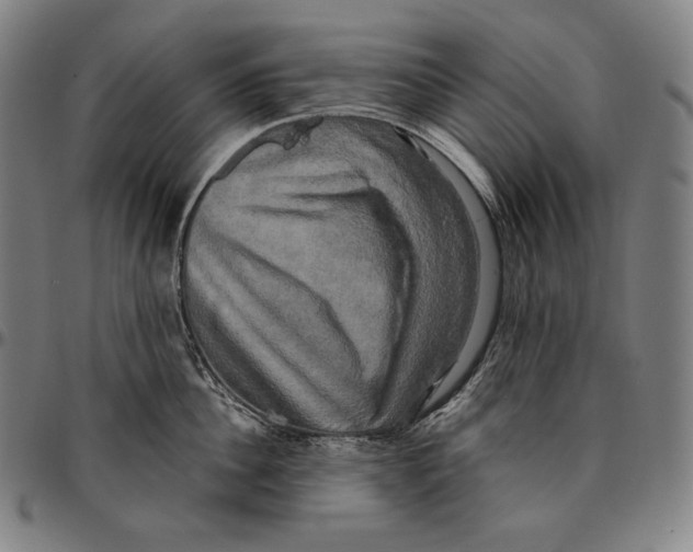 X0000095120956200801041220