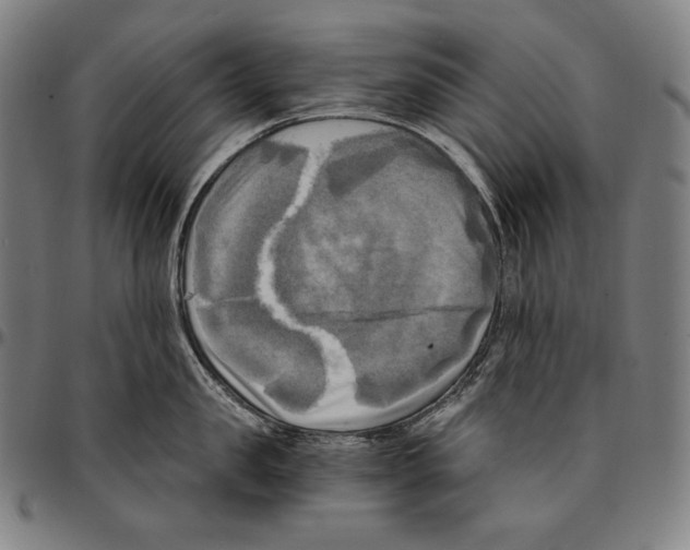 X0000095120957200801041220