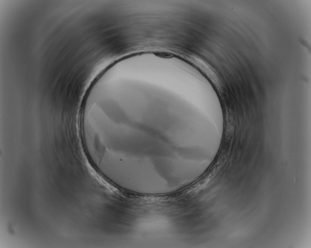 X0000095120958200801041220