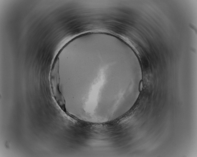 X0000095120959200801041220