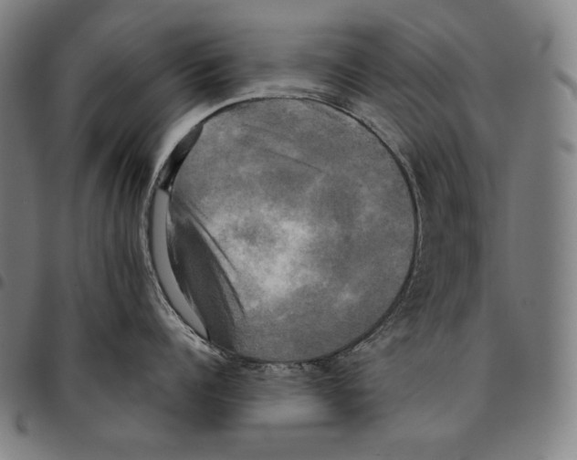 X0000095120960200801041220