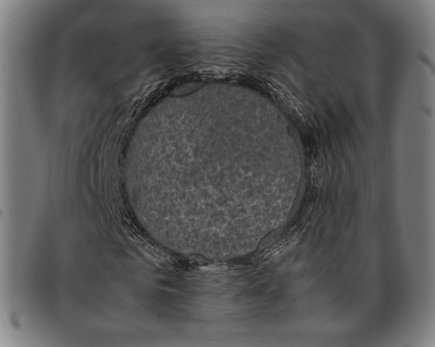 X0000095120961200801041220