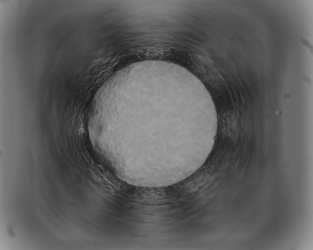 X0000095120962200801041220