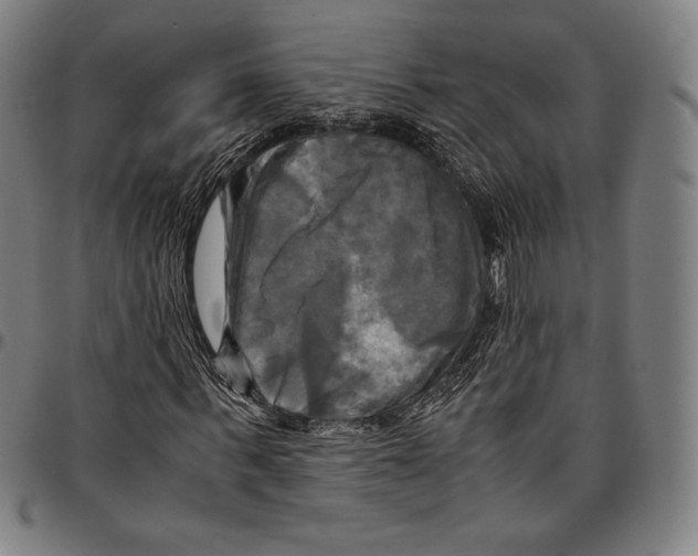 X0000095120963200801041220