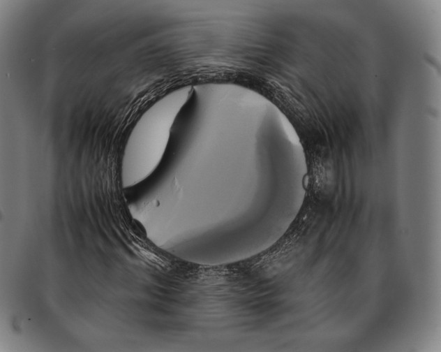 X0000095120964200801041220