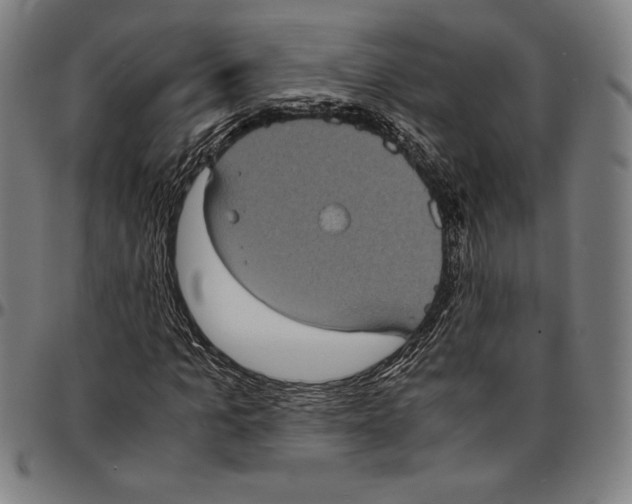 X0000095120965200801041220