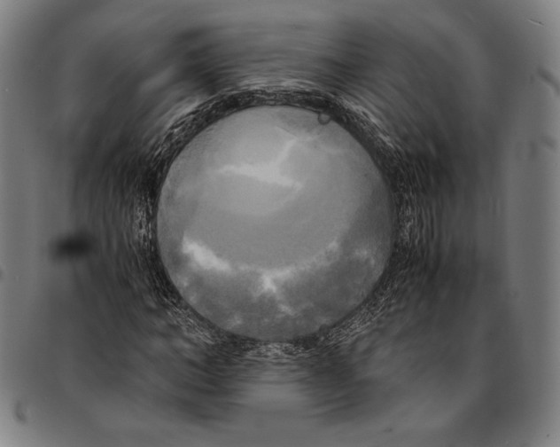 X0000095120966200801041220