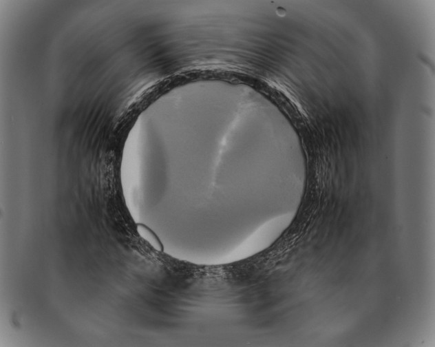 X0000095120968200801041220