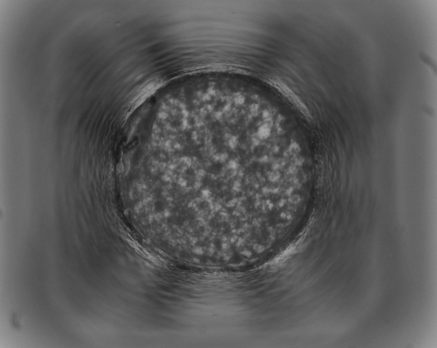 X0000095120969200801041220