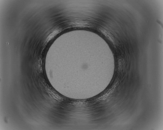 X0000095120970200801041220