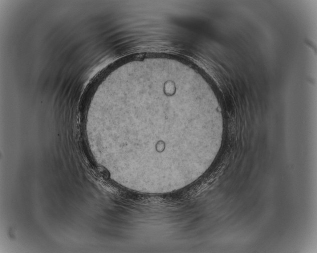 X0000095120971200801041220