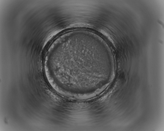 X0000095120973200801041220