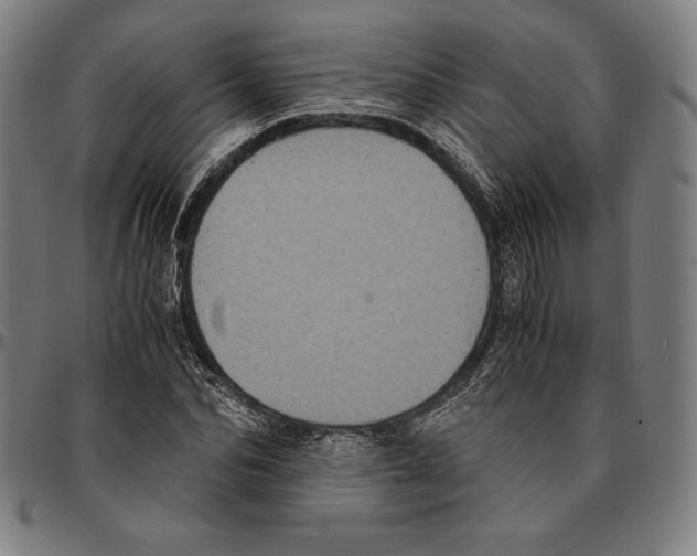 X0000095120974200801041220