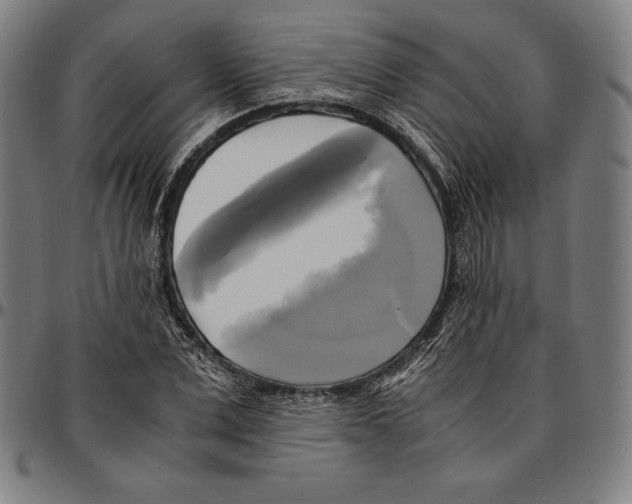 X0000095120975200801041220