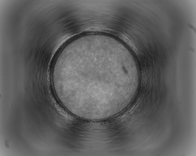 X0000095120976200801041220