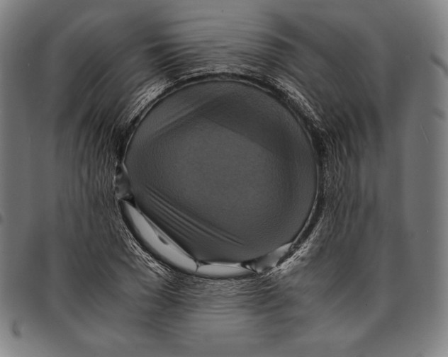 X0000095120977200801041219