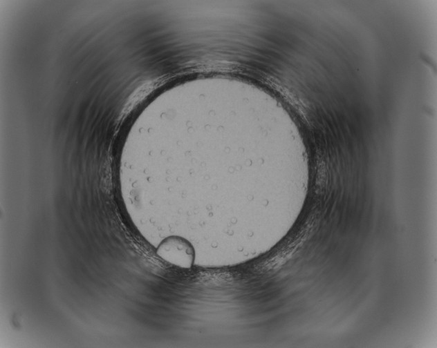 X0000095120978200801041219