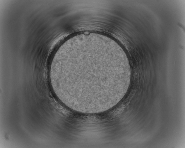 X0000095120979200801041219