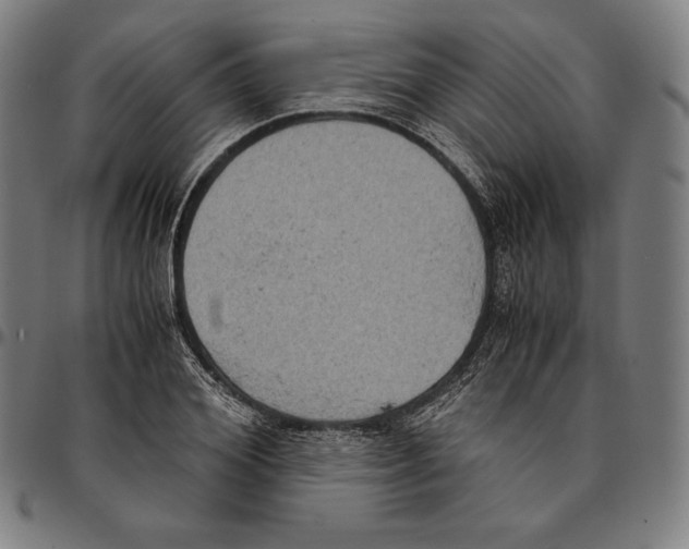 X0000095120980200801041219