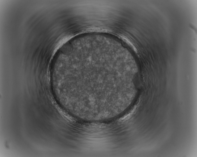 X0000095120981200801041219