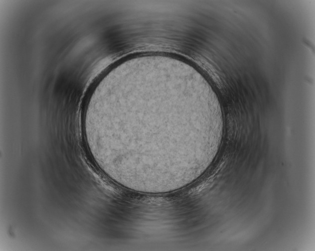 X0000095120982200801041219