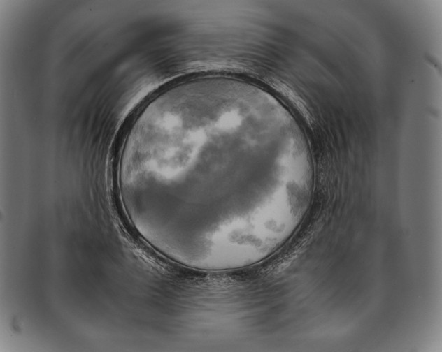 X0000095120983200801041219