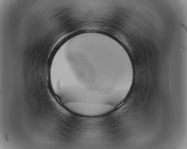 X0000095120984200801041219