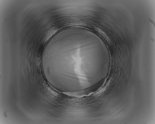 X0000095120985200801041219