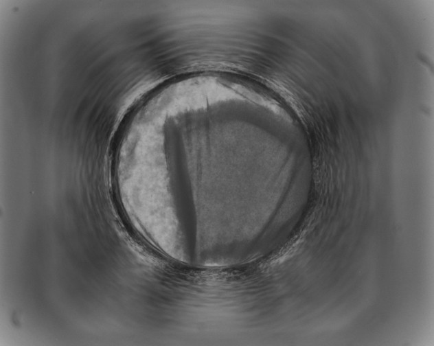 X0000095120987200801041219