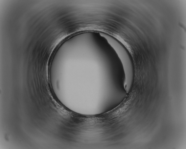 X0000095120988200801041219