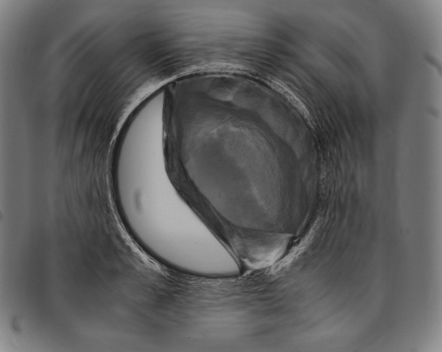 X0000095120989200801041219