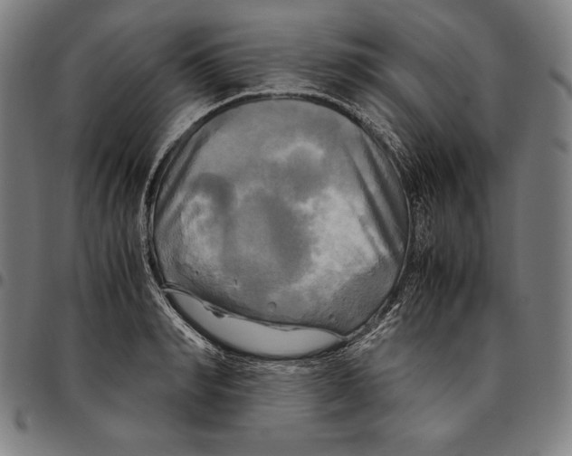 X0000095120990200801041219