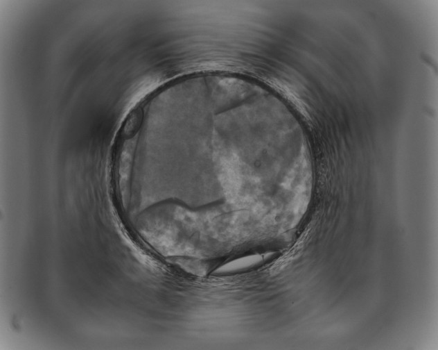 X0000095120991200801041219