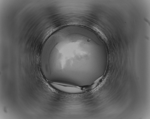 X0000095120993200801041219