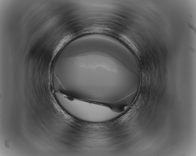 X0000095120994200801041219