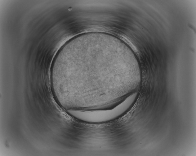 X0000095120996200801041219