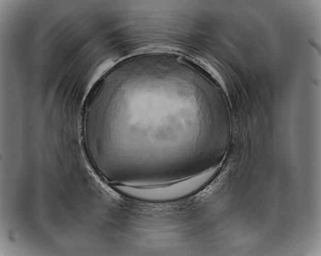 X0000095120997200801041219