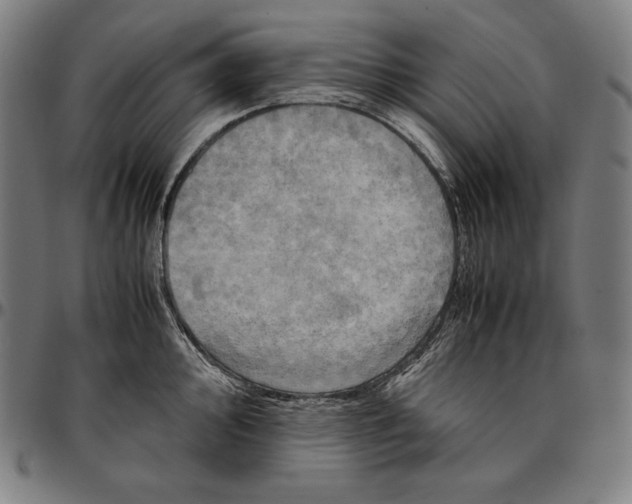 X0000095121000200801041219