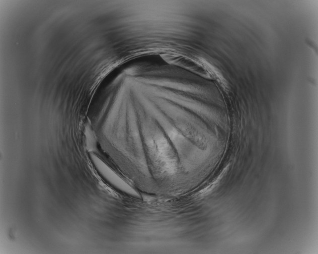 X0000095121001200801041219