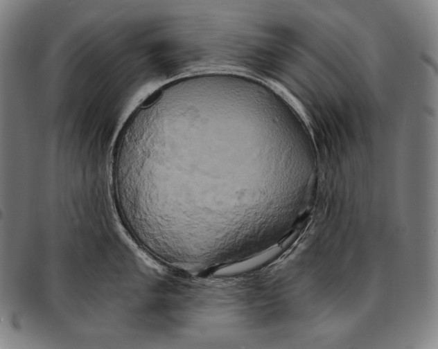 X0000095121005200801041219