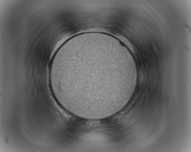 X0000095121006200801041219