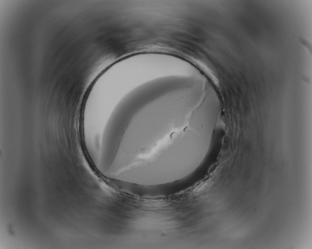 X0000095121007200801041219