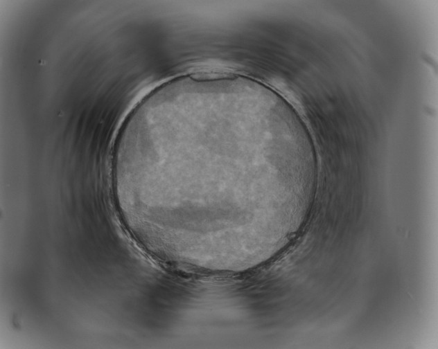 X0000095121008200801041219