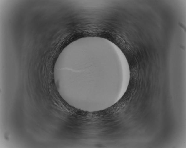 X0000095121009200801041218