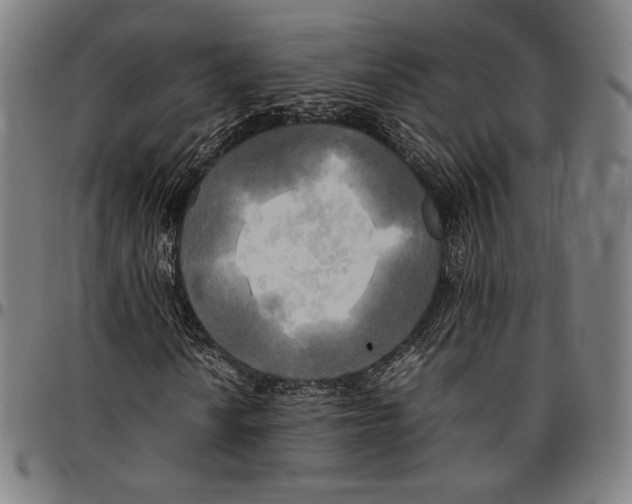 X0000095121010200801041218